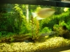Freshwater Tank